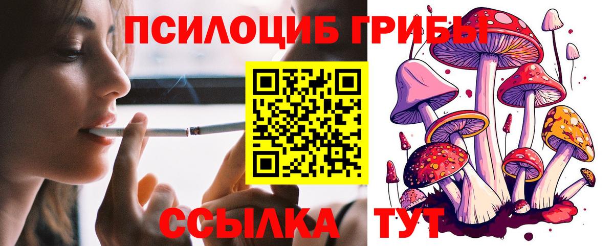 Ишим  дарнет шоп  Вход с VPN  Псилоцибиновые грибы GOLDEN TEACHER 